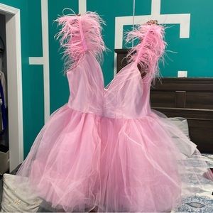 Fashion Nova Tulle Mini Dress. Only worn once.